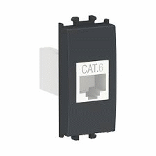 بريزه داتا اسود CAT6 شنايدر